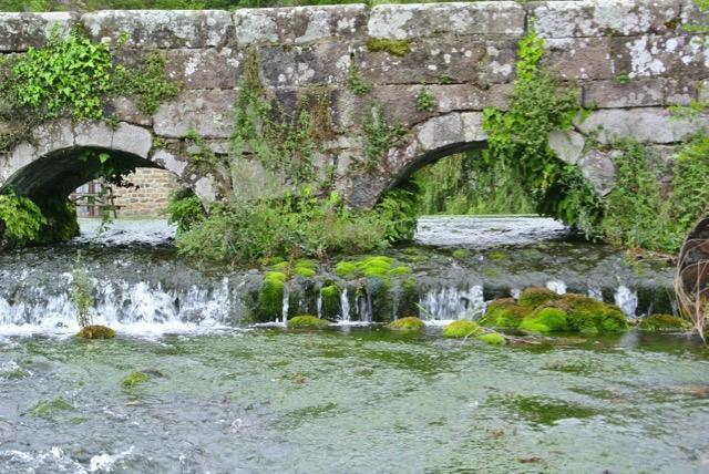 Posada Rural La Flor Del Nogal Ruente Eksteriør bilde